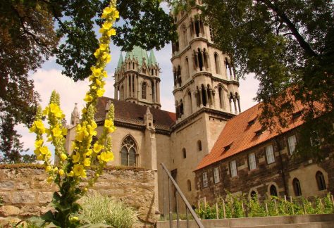 Blick vom Domgarten zum Naumburger Dom
