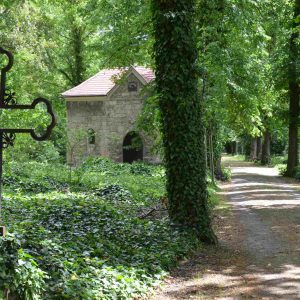 Blick zum Domfriedhof