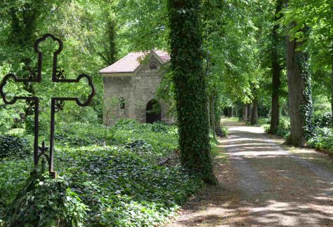 Blick zum Domfriedhof