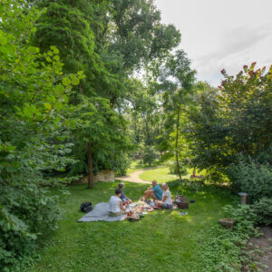 Vier Menschen sitzen auf einer Decke im Domgarten und picknicken