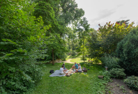 Vier Menschen sitzen auf einer Decke im Domgarten und picknicken