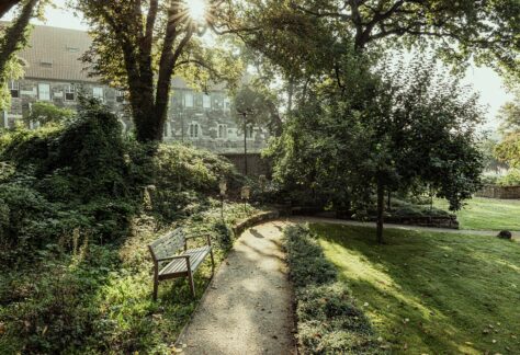 Blick in den Domgarten mit einer Parkbank